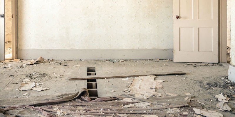 The ultimate renovation survival guide